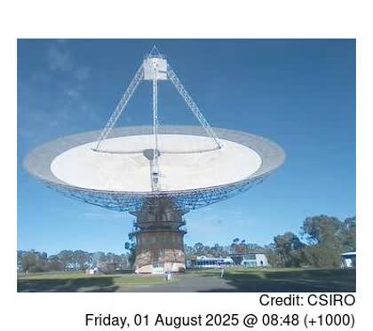 2025-08-01