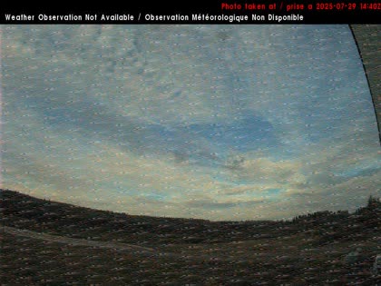2025-07-29