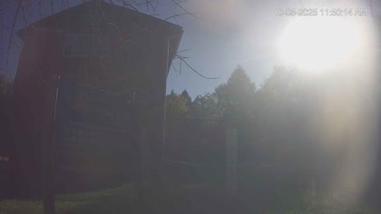 2025-10-05