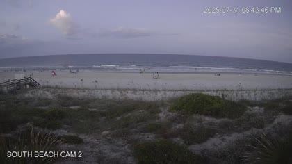2025-08-01