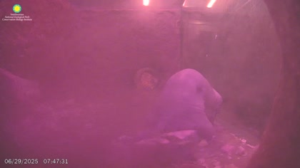 2025-06-29