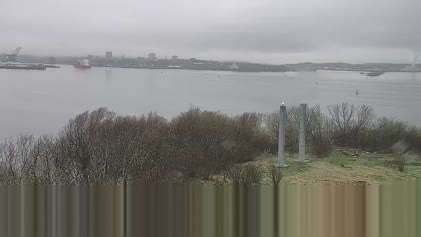 2025-05-19