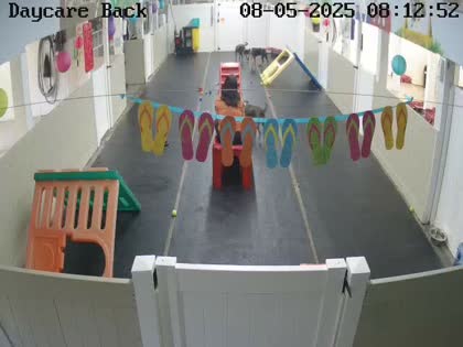 2025-08-05