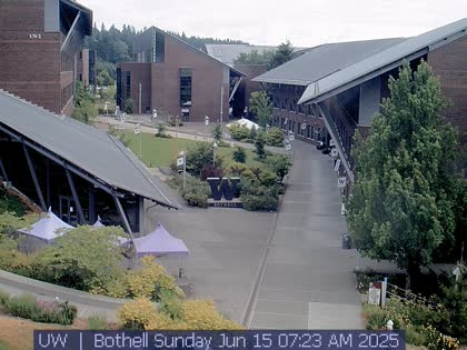 2025-06-15