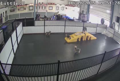 2025-10-09