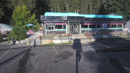 2025-08-12