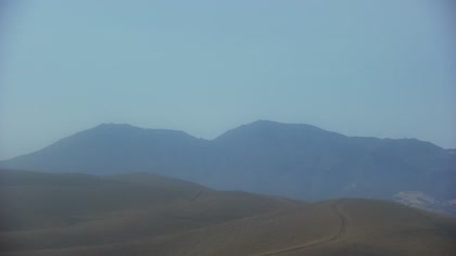 2025-08-10