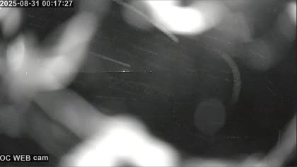 2025-08-31