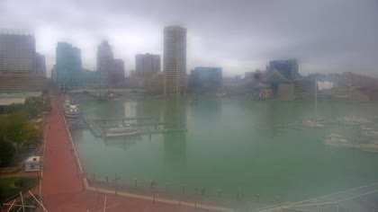 2025-10-11