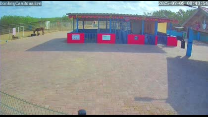 2025-07-05