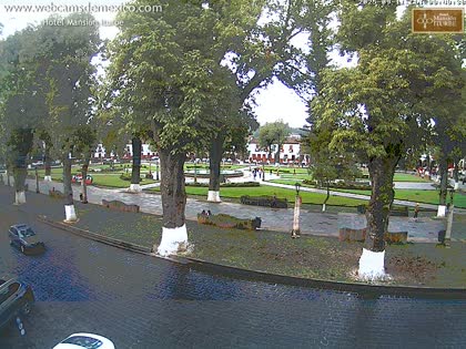 2025-09-11