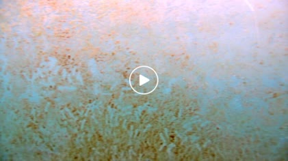 2025-06-05