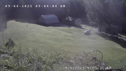 2025-09-04