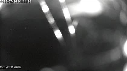 2025-07-26