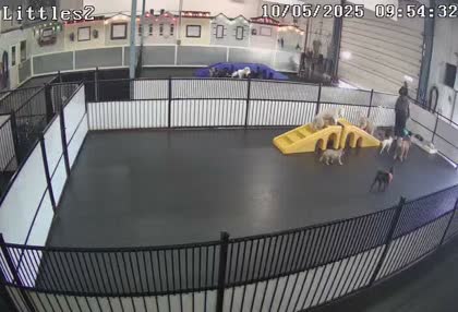 2025-10-05