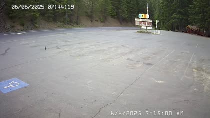 2025-06-06