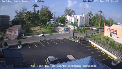 2025-06-10