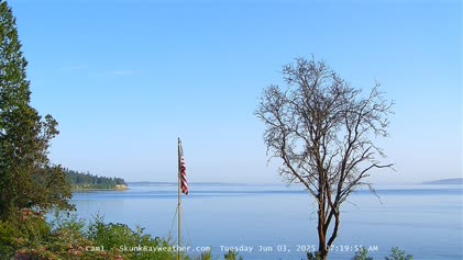 2025-06-03