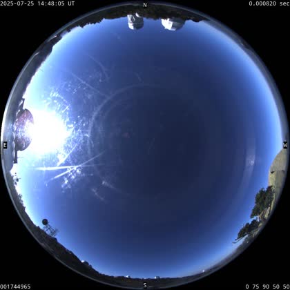 2025-07-25