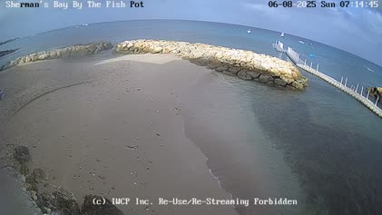 2025-06-08