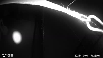 2025-10-02