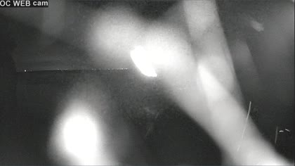 2025-08-02