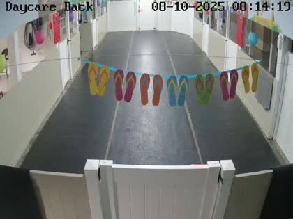 2025-08-10