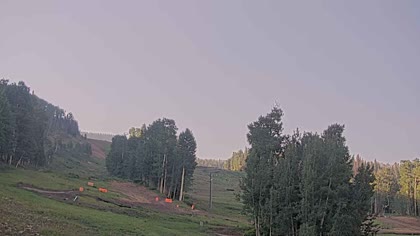 2025-07-11