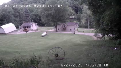 2025-06-24