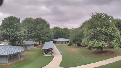 2025-08-08