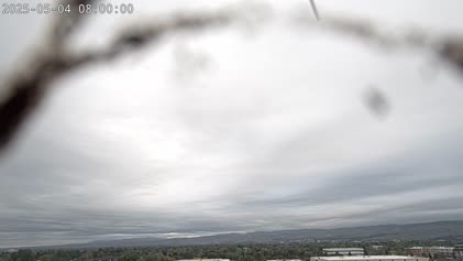 2025-05-04