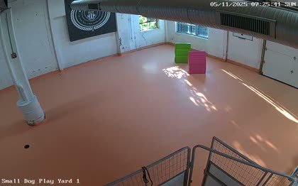 2025-05-11