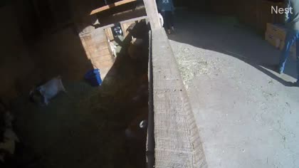 2025-10-04