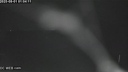 2025-08-01