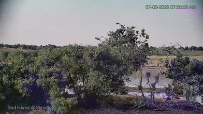2026-07-05