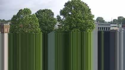 2025-05-20