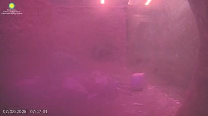 2025-07-08