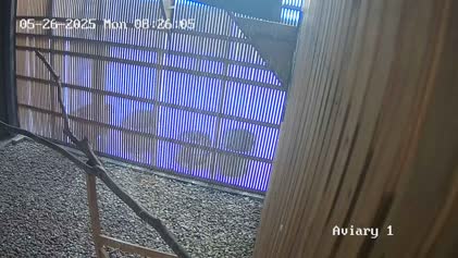 2025-05-26