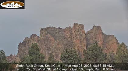 2025-08-25