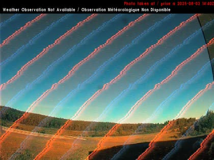 2025-08-03