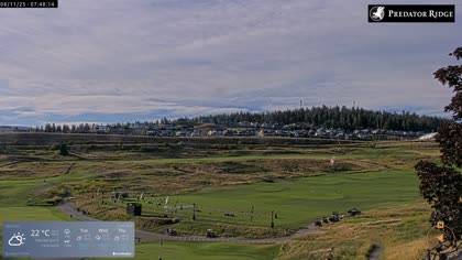 2025-08-11