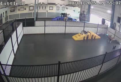 2025-10-04