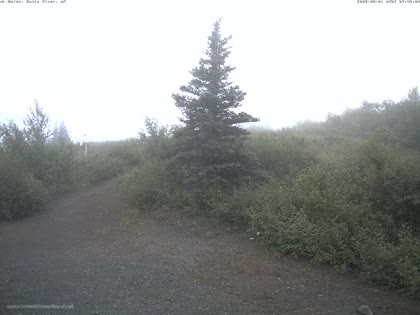 2025-08-01