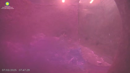 2025-07-03