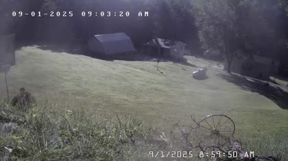2025-09-01