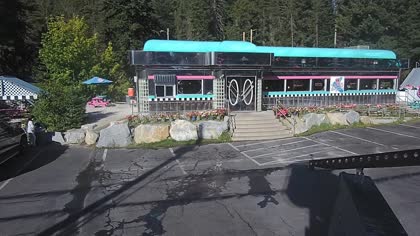 2025-08-17