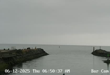 2025-06-12