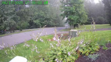 2025-06-17