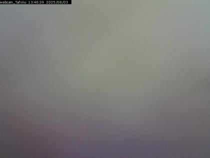 2025-08-03