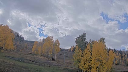 2025-10-09